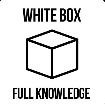 Network Penetration Testing