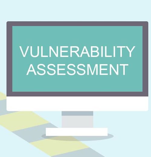 Vulnerability Assessment